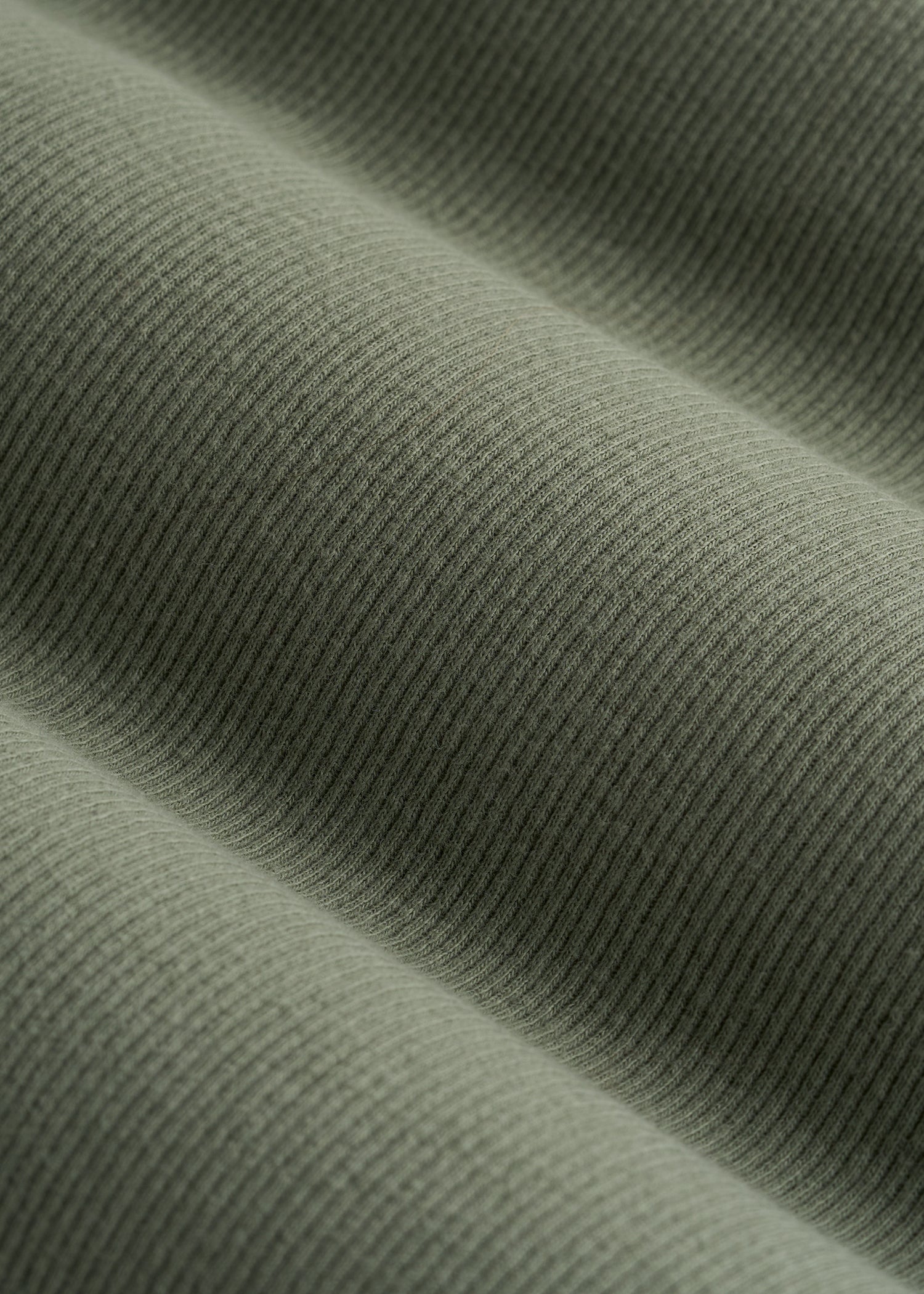 American-Tall-Women-Short-sleeve-crew-neck-ribbed-tee-Dark-Seagrass-Macro